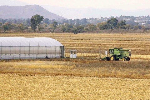 Defraudan a productores