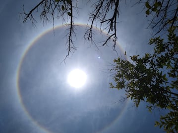 Habitantes de Querétaro captan halo solar: ¿Qué es y por qué se forma?