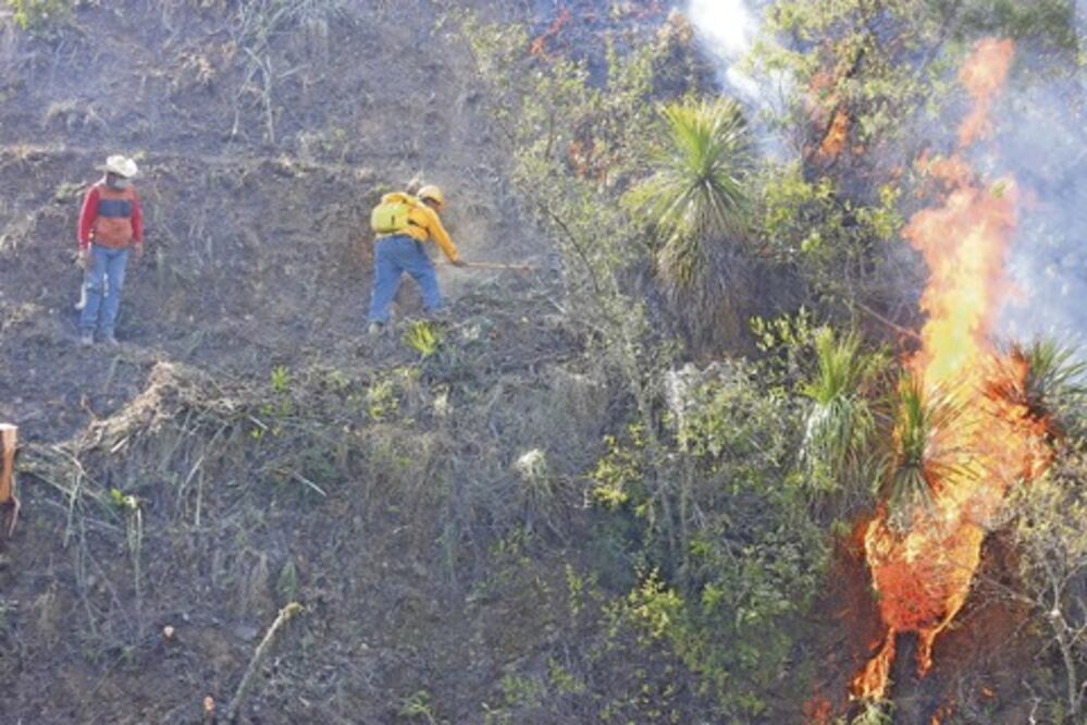 En San Joaquín, incendio destruyó 50 hectáreas