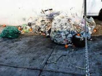 Denuncian tiraderos clandestinos 