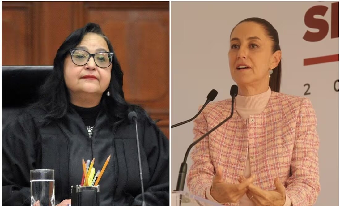 Sheinbaum niega desacato; la ley es para todos, dice Piña