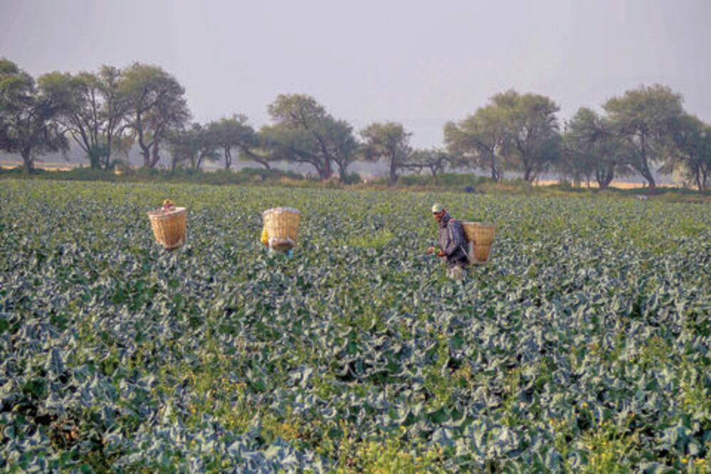 Percibe agro buena coordinación