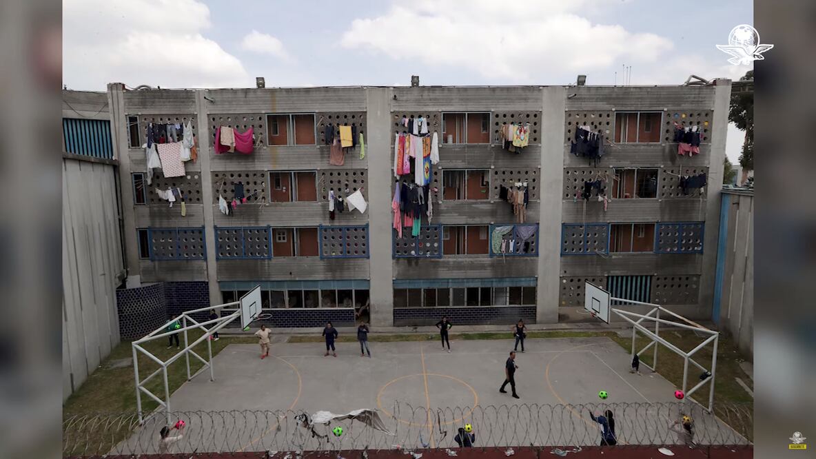 Foto: Captura de pantalla