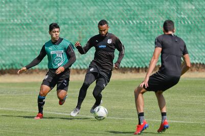 Desbandada de emplumados