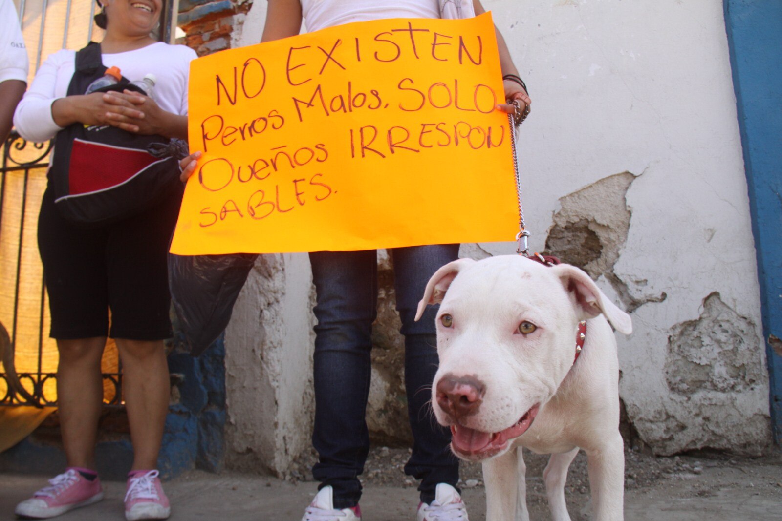 Crecen 37% los casos de mediación entre vecinos