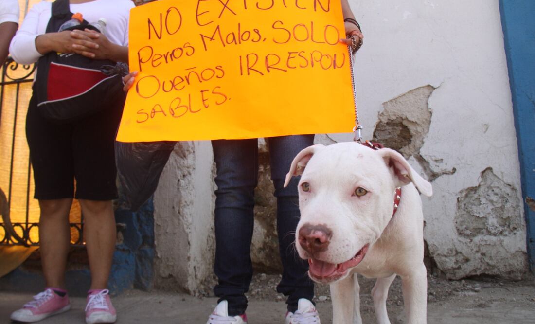 Foto: Archivo. Imagen ilustrativa