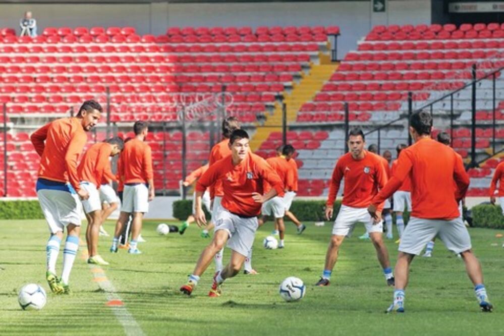 Los gallos arraigan sus ilusiones