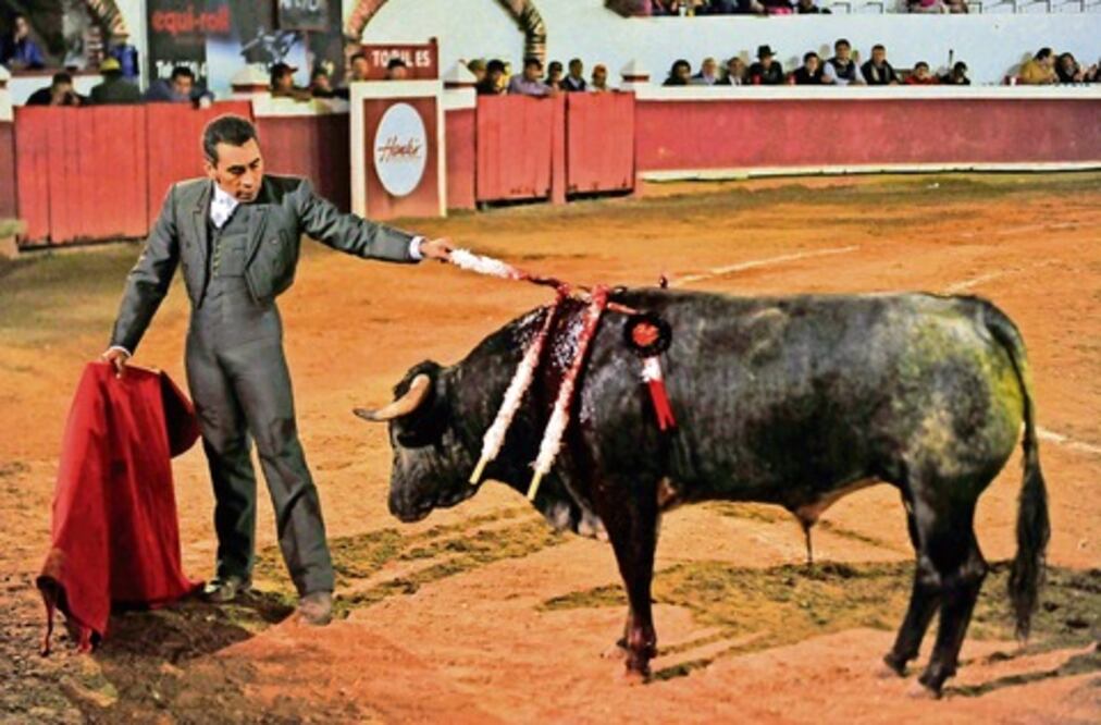 Oficial, los toros ya son patrimonio