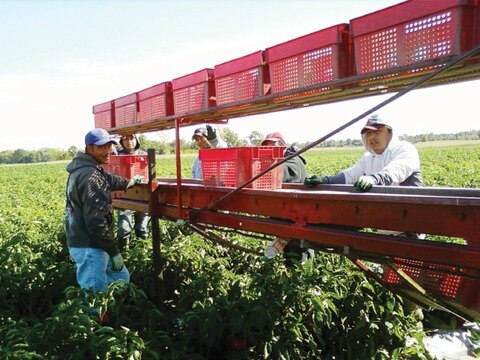 Bajan las remesas enviadas al estado