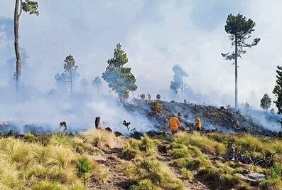 Querétaro suma 357 hectáreas consumidas por el fuego