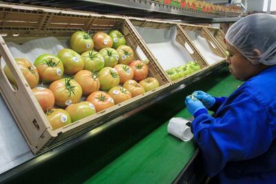 Se dispara hasta 71.85% más el precio de tomate