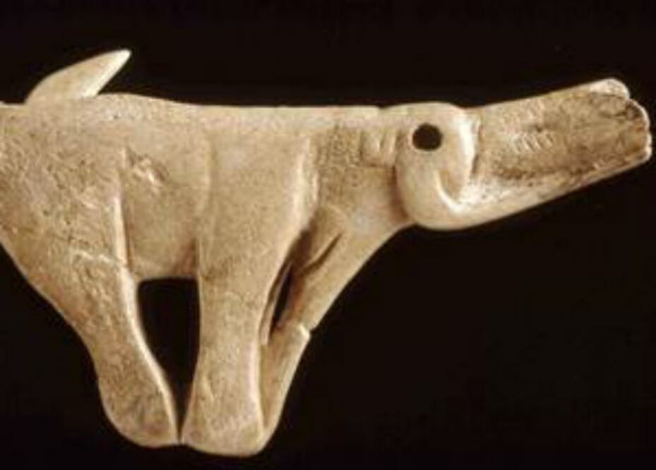 Muestran el arte de la Edad de Hielo