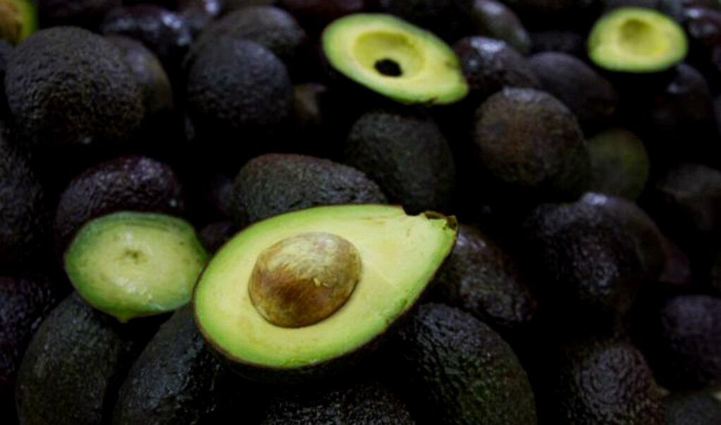 Precio del aguacate sube hasta $75.00