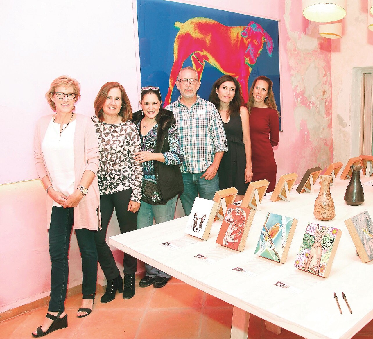 Para ayudar a perros y gatos de la calle