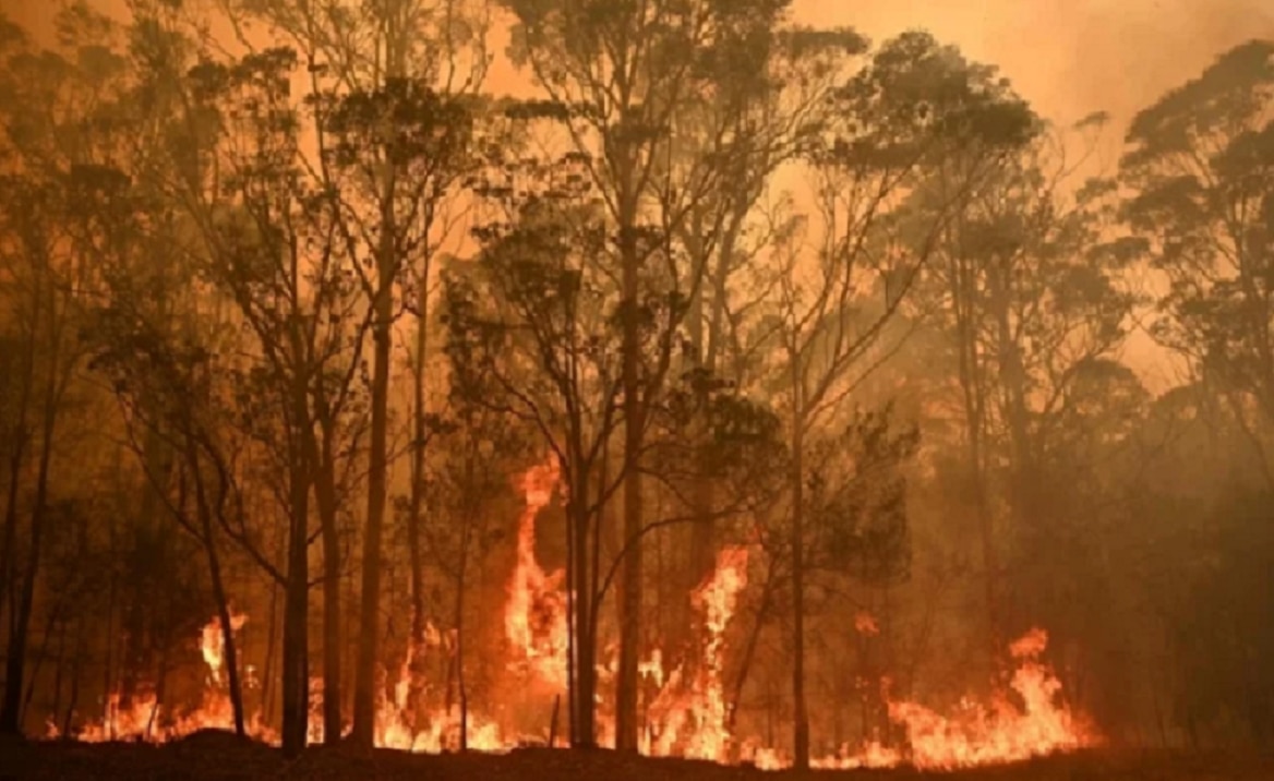 Australia reporta más de 200 incendios activos; han dejado al menos 23 muertos