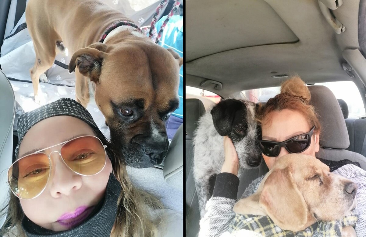 ¡Iba a salvar a un canino! Desaparece rescatista de perros en Ecatepec