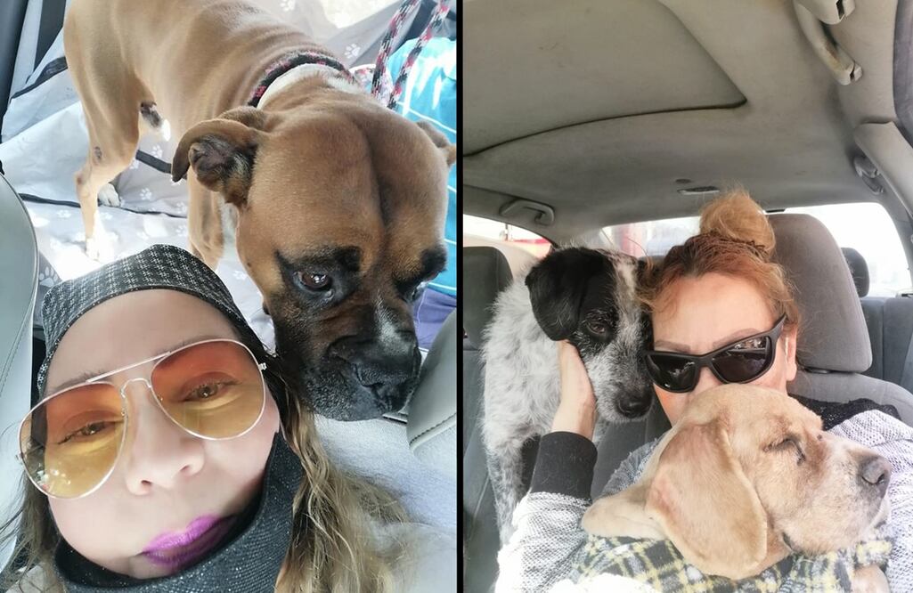 ¡Iba a salvar a un canino! Desaparece rescatista de perros en Ecatepec