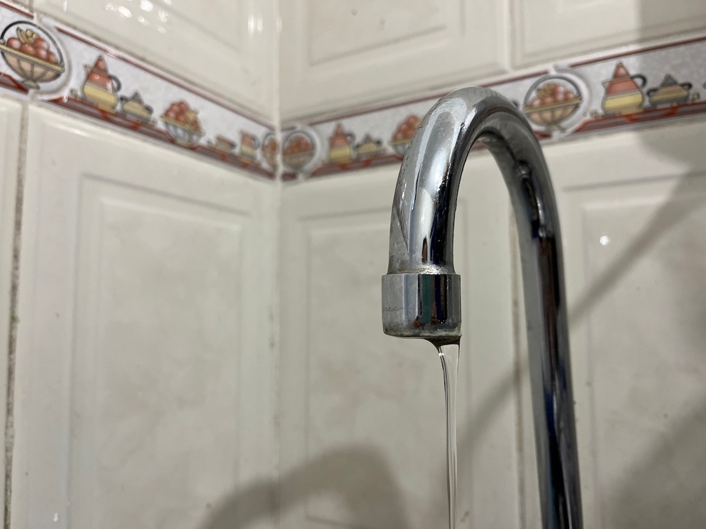 Foto: Betsabee Fortanell