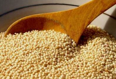 Fomentan siembra de amaranto 