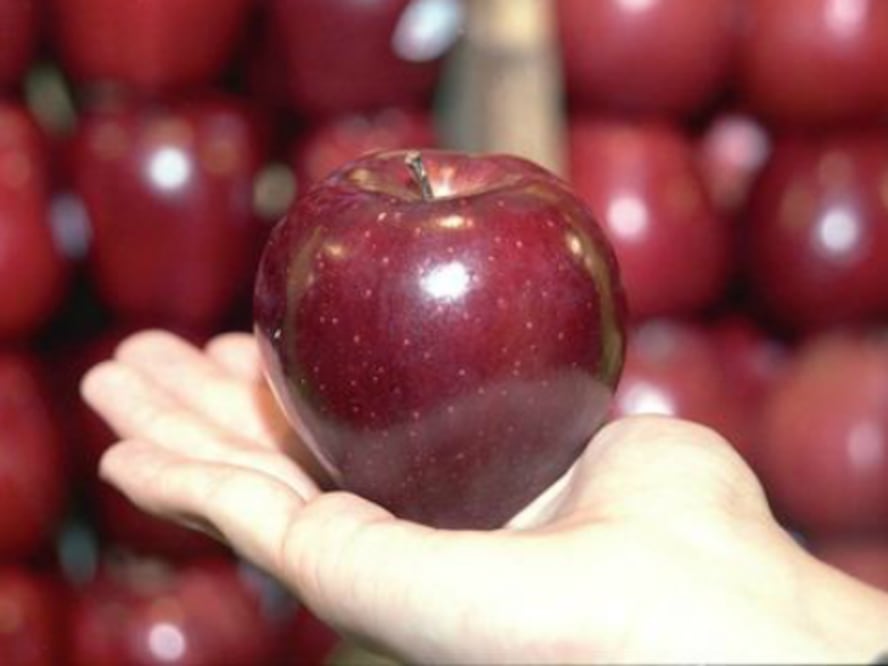 Manzana de EU ‘congela’ a la mexicana  