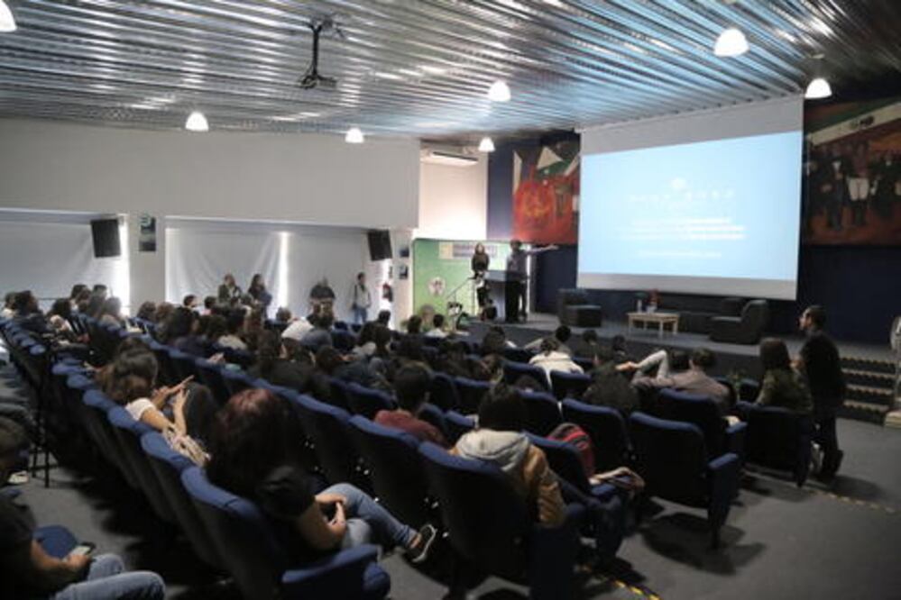 Todo un día dedicado al cine