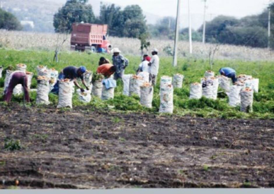 PROAGRO dejará de ser subsidio