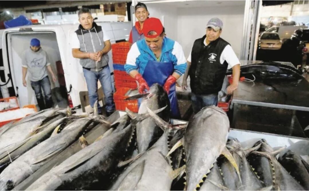 De acuerdo con un experto en biología marina, el hallazgo de soya en latas de atún da cuenta de que existe sobrepesca del producto (ARCHIVO EL UNIVERSAL)