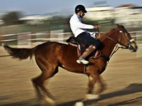 Anuncian campeonato de salto