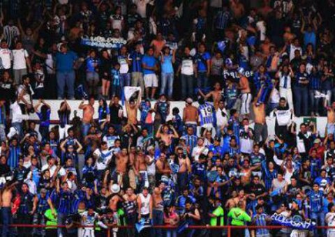 Gallos Blancos es de verdad