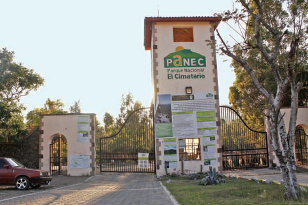 Van contra derogación de Panec 