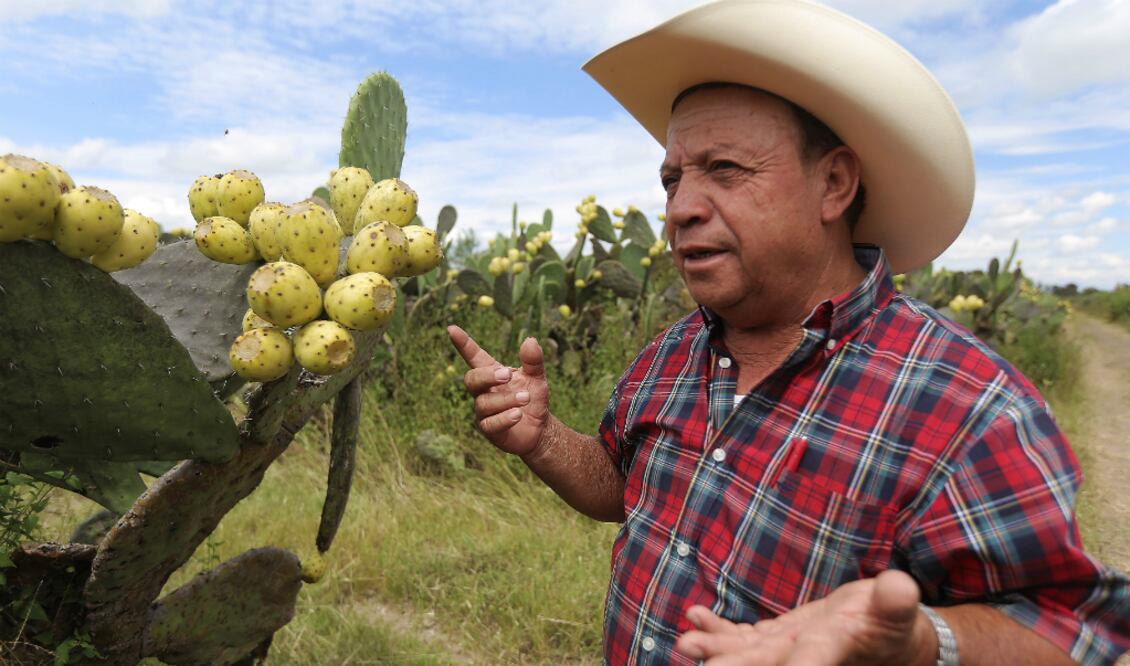 FOTO: Gonzalo Ibañez