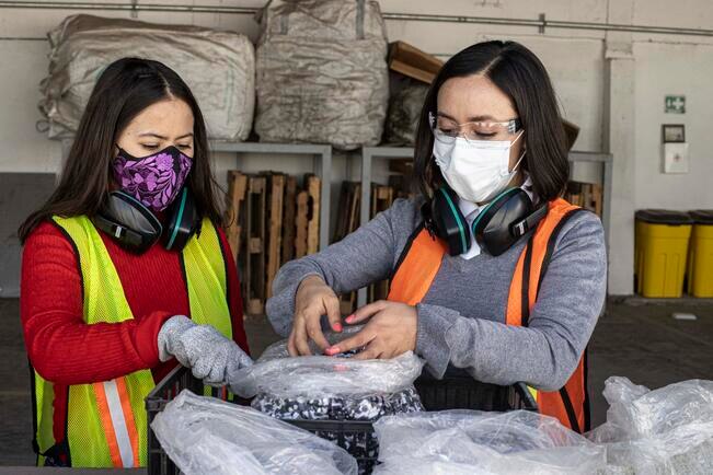 La Universidad de las Mujeres realizará jornada del empleo este lunes