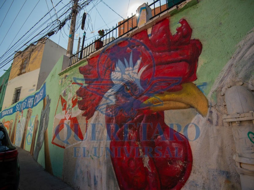 FOTO. FERNANDO CAMACHO