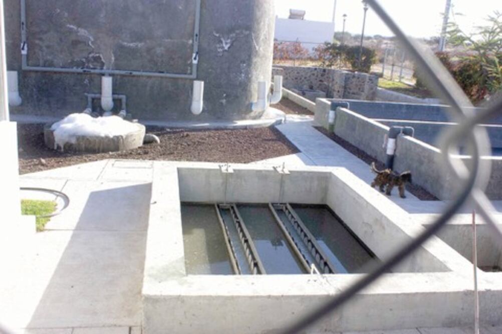 Reportan fallas en planta tratadora