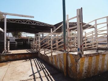 Proyectan nuevo rastro para San Juan