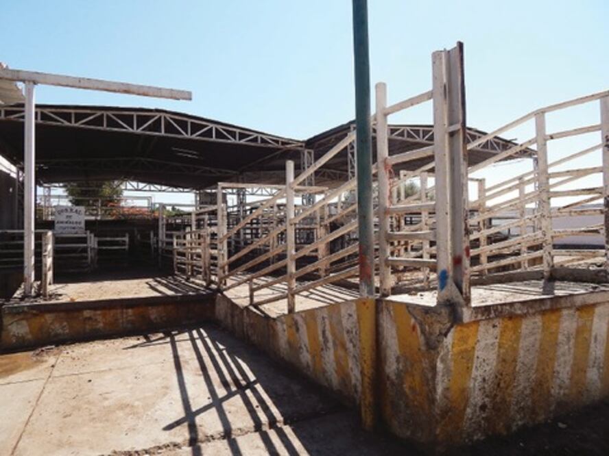 Proyectan nuevo rastro para San Juan