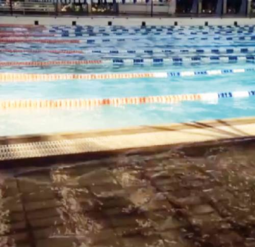 CNAR alberca de olas por sismo