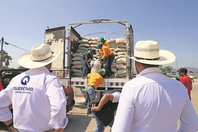 Entregan 148 toneladas de grano de maíz 