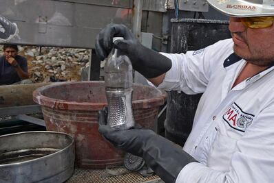 Ven en el mercurio una manera de sobrevivencia