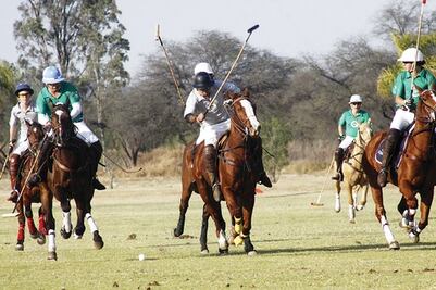 Homenajean a Carlos Gracida