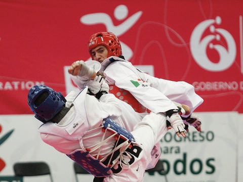 Taekwondoín de bronce