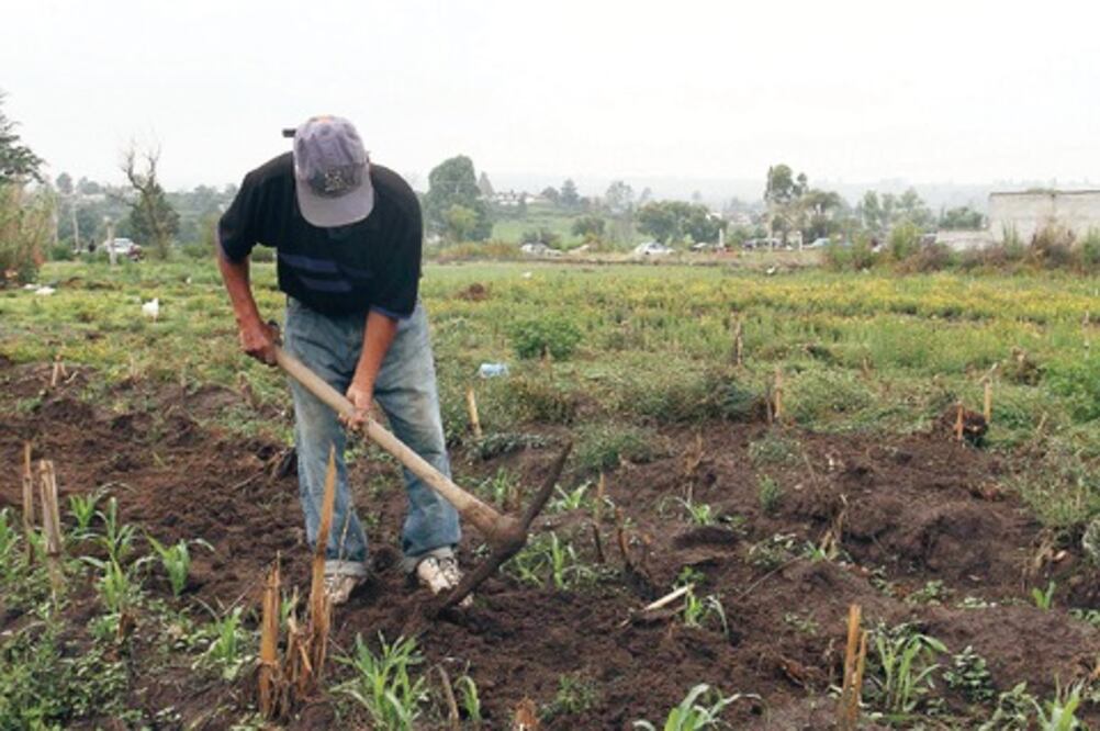 Amealco, a la Cruzada contra el Hambre