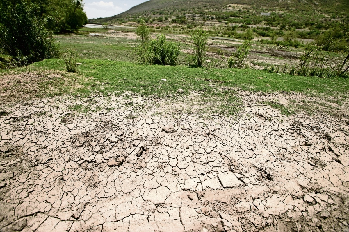 Reportan sequía generalizada en todo Querétaro