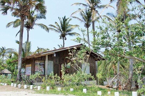 EBC proyecta un hotel endémico