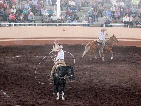 El Pitayo, a un punto de ser campeón