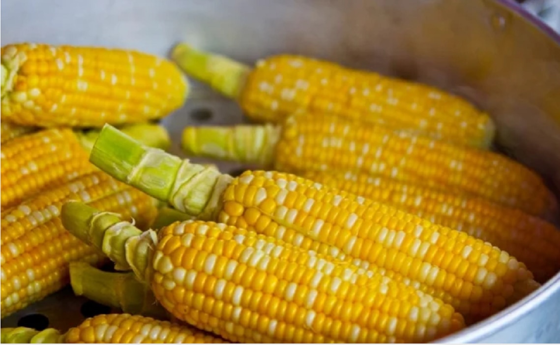 5 alimentos de origen mexicano que nos enorgullecen