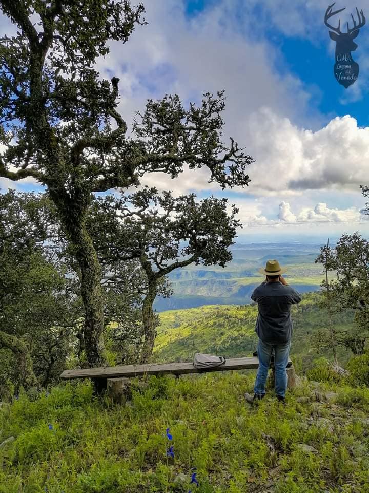 Vista desde el Pinal del Zamorano. Foto: FB, Daniela Angeles