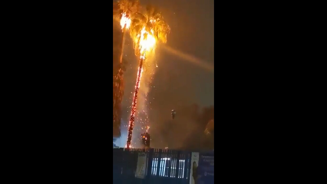 La caída de un rayo en Querétaro provocó el incendio de dos palmeras