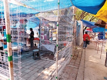 Decomisa PGR productos apócritos