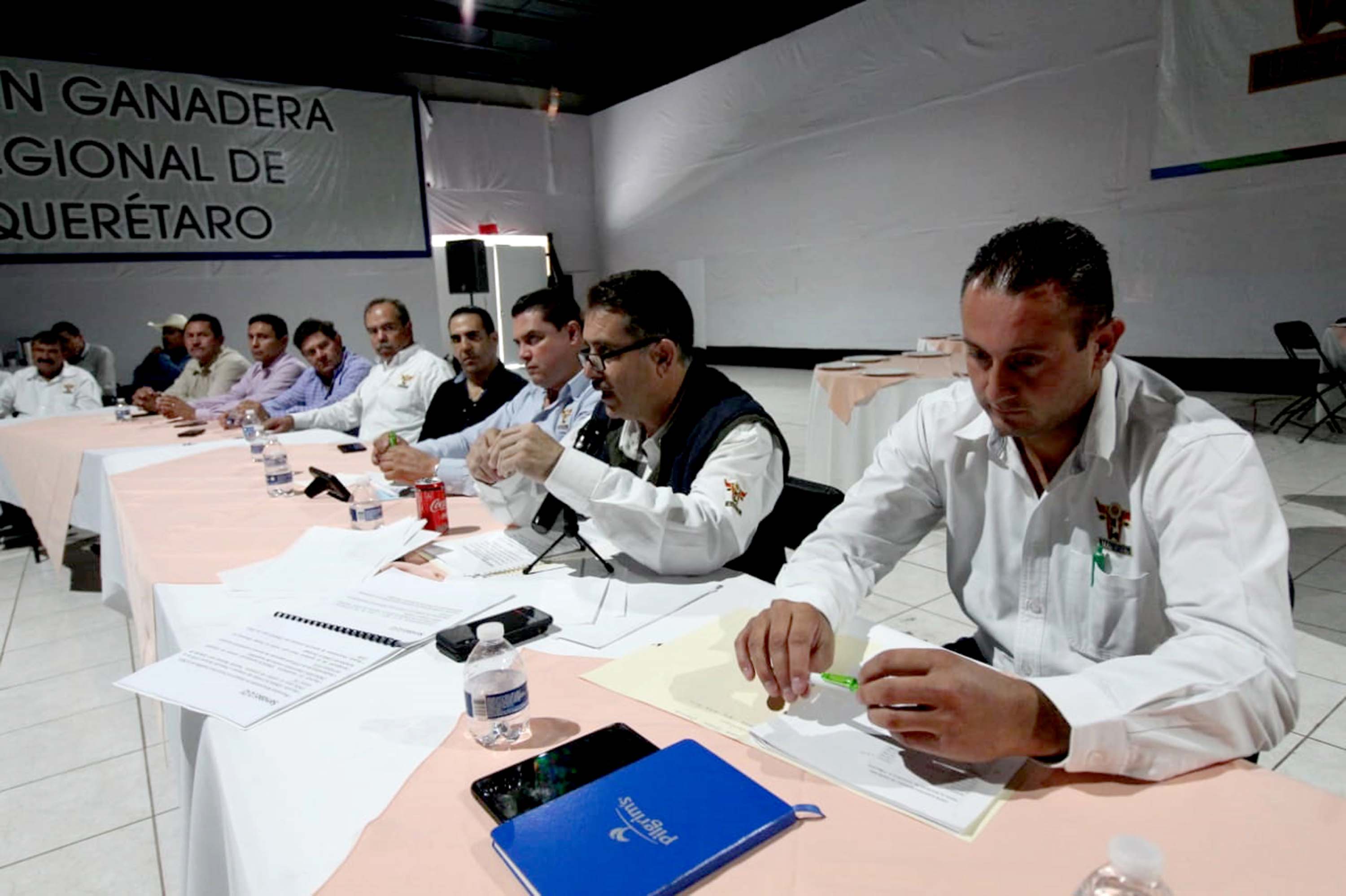 Ganaderos critican postura de Laura Polo